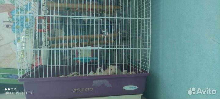 Клетка для птиц