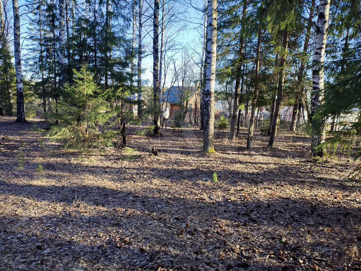 Участок 11 сот. (ИЖС)