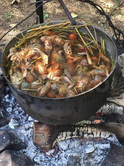 Дача 50 м² на участке 10 сот.