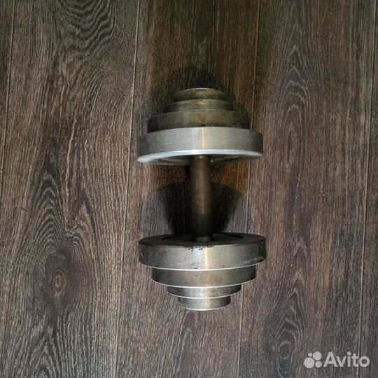 Гантеля разборная 20кг