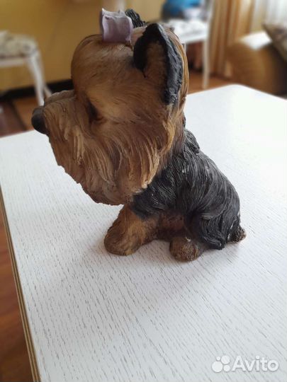 Йоркширский терьер