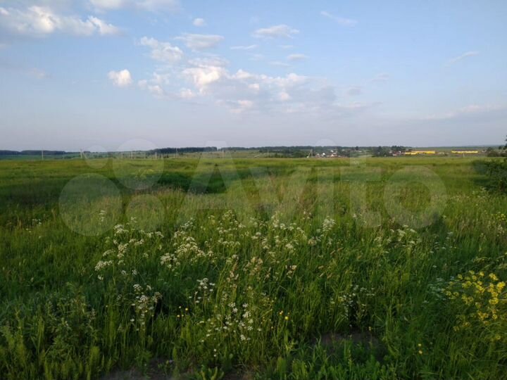 Участок 85 сот. (ИЖС)