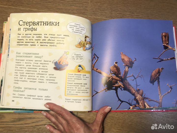 Детская Большая энциклопедия животных