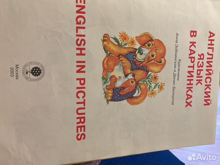 Книга Английский язык в картинках