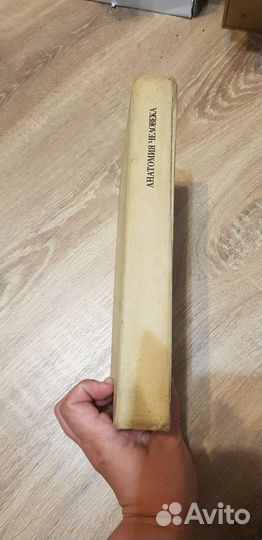 Анатомия человека, Михайлов С.С. 1973г