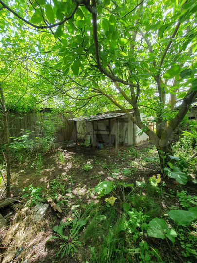 Дом 20 м² на участке 11 сот.