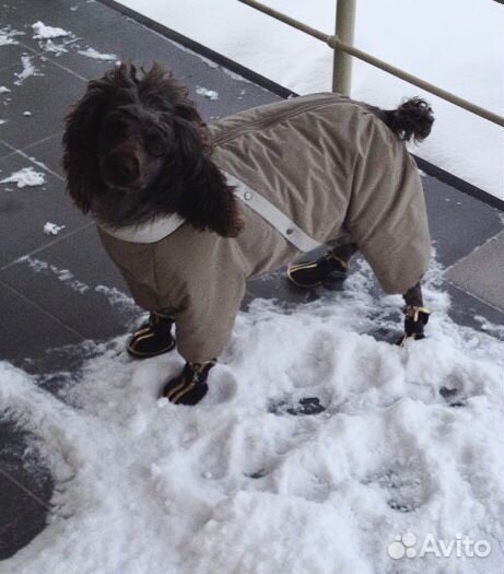 Комбинезон для собаки