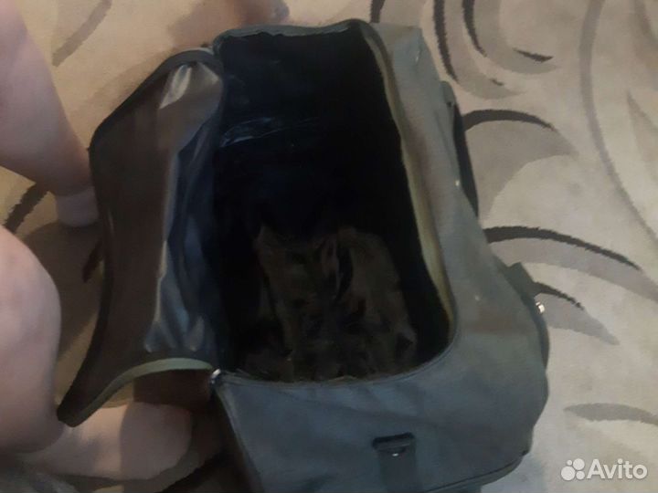 Сумка дорожная на колесах с выдвижной ручкой