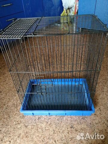 Большие Клетки и маленькие