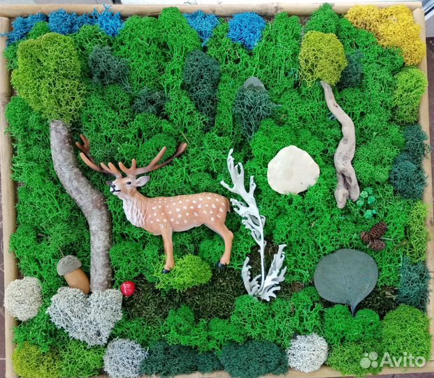 Фитокартина