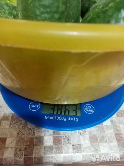 Огурцы 3,8 кг, кабачки 1,7