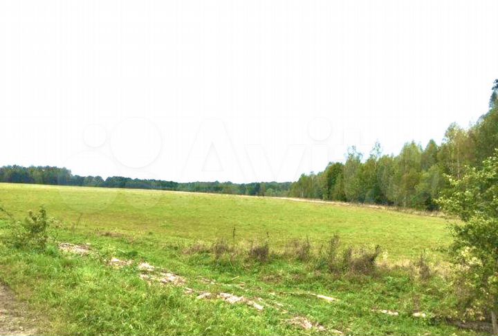 Участок 14,1 га (СНТ, ДНП)