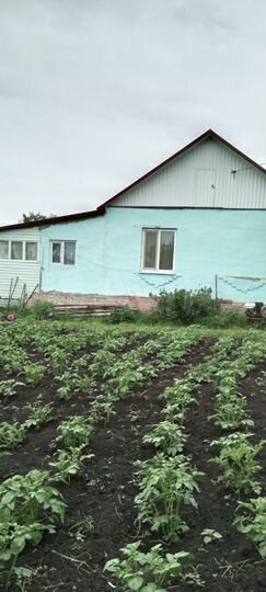 Дом 56 м² на участке 15 сот.