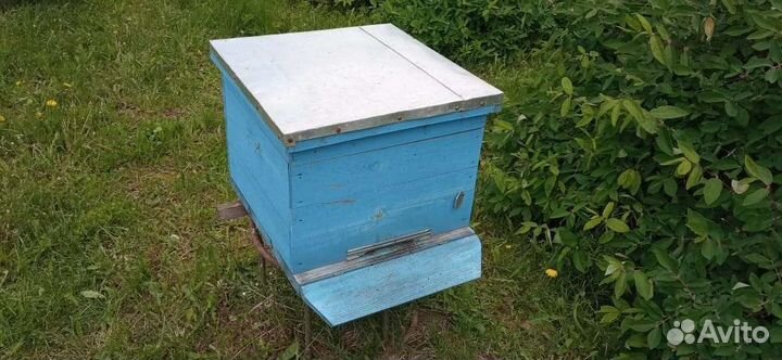 Улей с пчелами