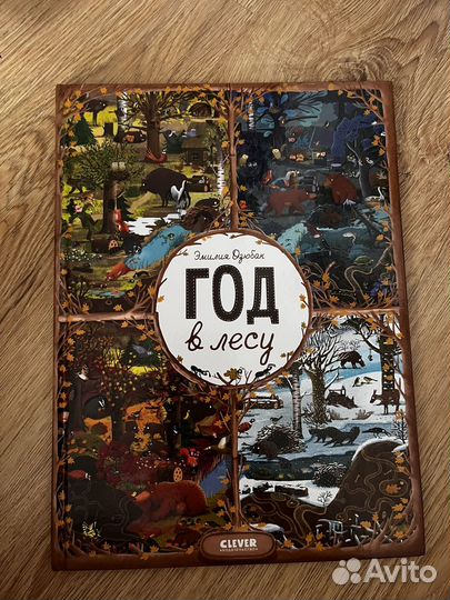 Книга Год в лесу clever