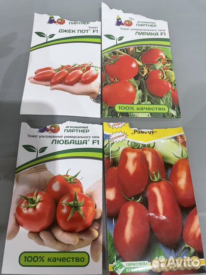 Рассада томатов