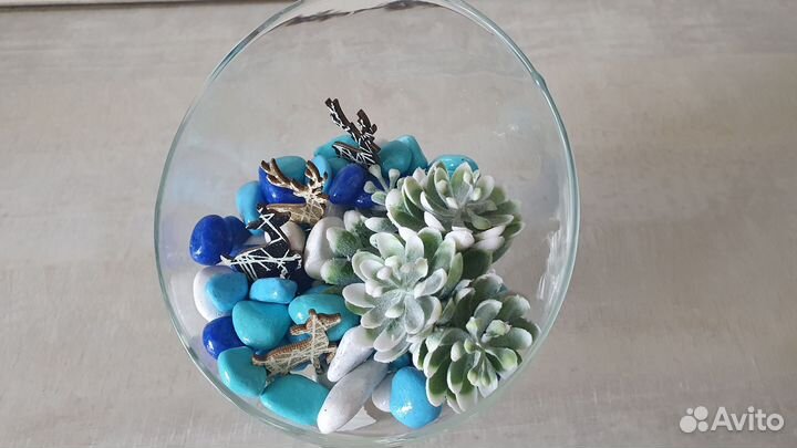 Флорариум новый