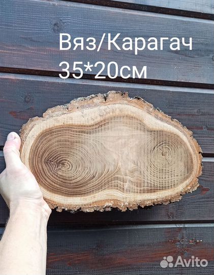 Спилы дерева Вяз/Карагач
