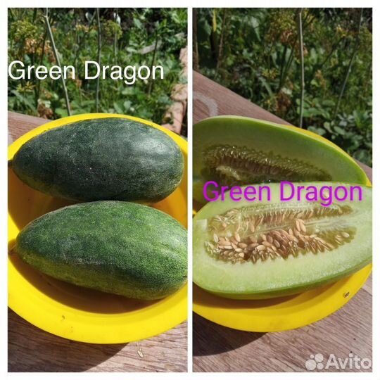 Огурдыня семена