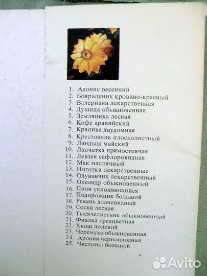 Лекарственные растения. Набор открыток