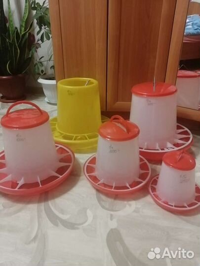 Кормушки и поилки для домашних птиц