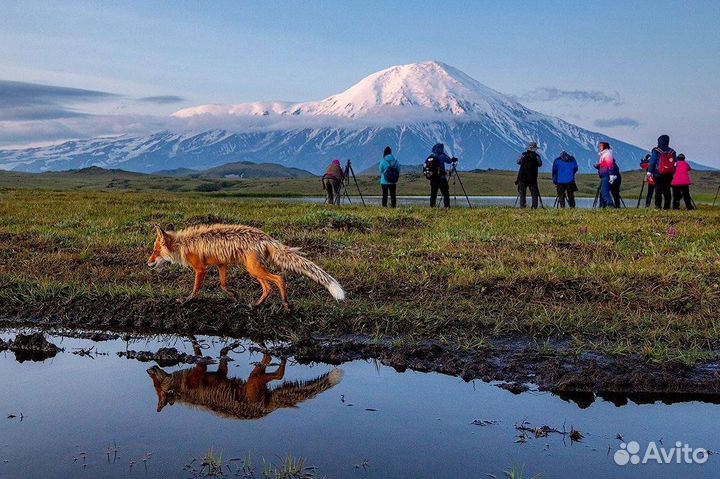 Экскурсия Долина гейзеров на Камчатке