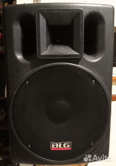 Активный монитор BLG RXA 15P200