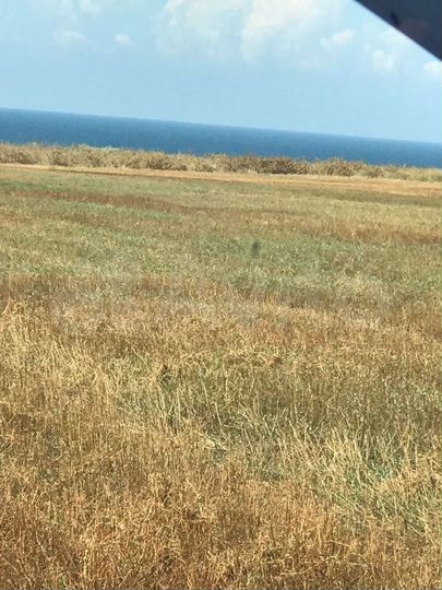 Участок 1,5 га (СНТ, ДНП)