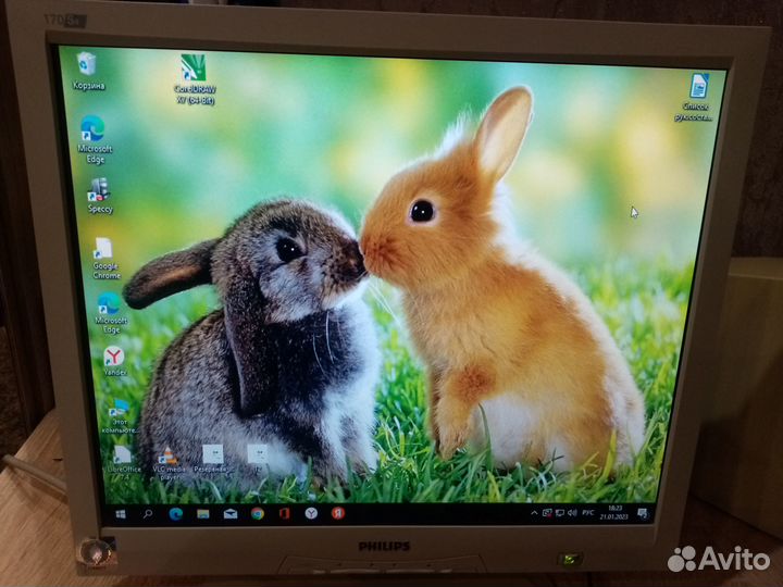 Монитор Philips 170s4