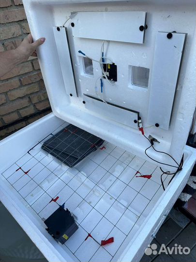 Инкубатор для яиц автоматический бу