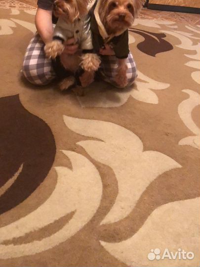 Ковер турецкий бу