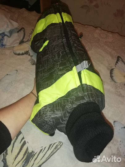 Одежда для собак