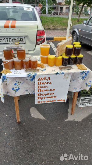 Мёд, перга,мёд в Сотах, прополис