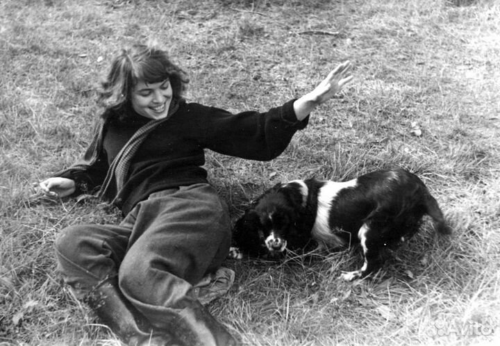 Картина Л. А. Русова 