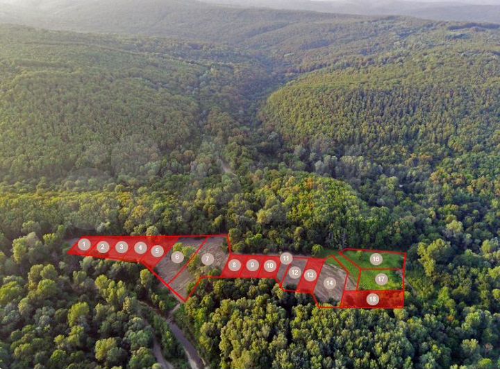 Участок 24,3 сот. (СНТ, ДНП)