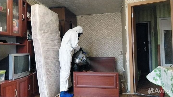 Рубцовск Уничтожение Комары Тараканы Клопы Муравьи