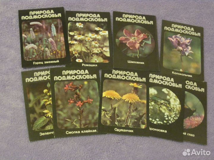 Календари природа, птицы, растения, Красная книга