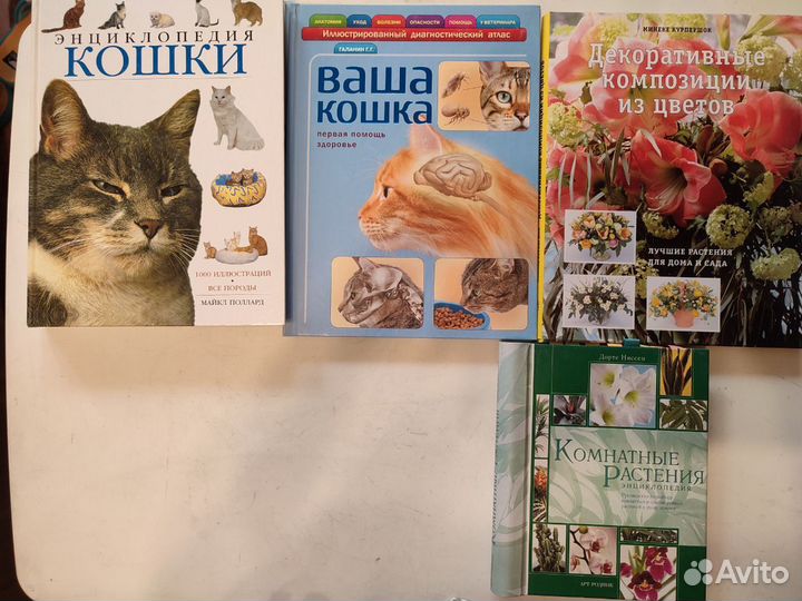 Книги: Рисование лошади кошки танец саморазвитие