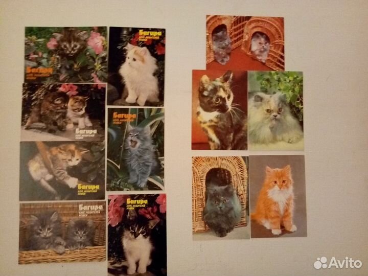 Винтажные открытки и календарики с котами
