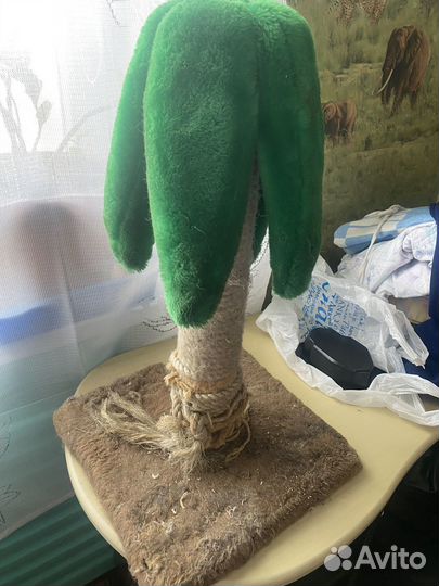 Когтеточка