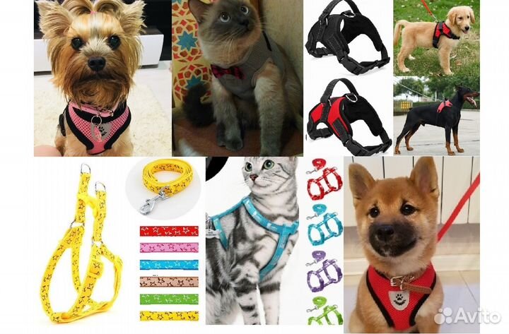 Шлейки, ошейники, поводки