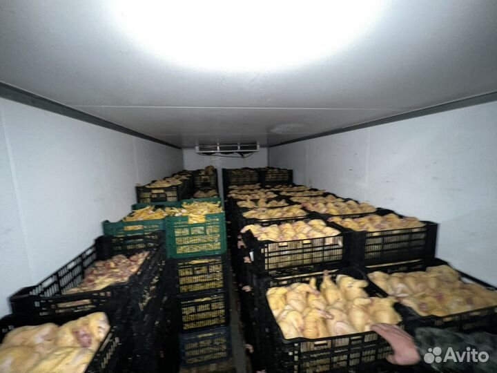 Куры бройлеры тушка