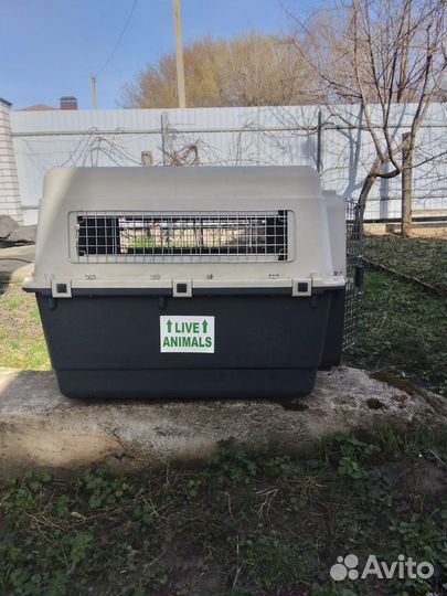 Клетка-переноска для крупных домашних животных