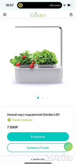 Умный сад с подсветкой iGarden LED