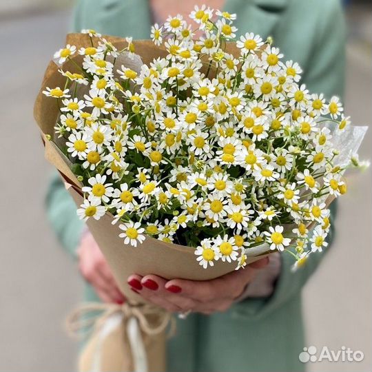 Букет полевых ромашек