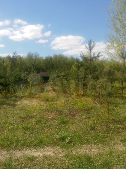 Участок 7 сот. (СНТ, ДНП)