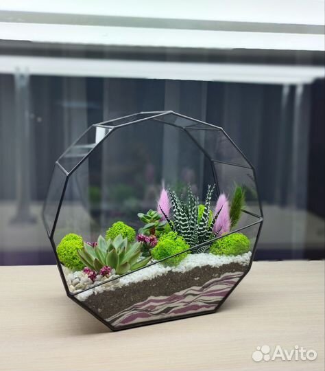 Флорариум с суккулентами