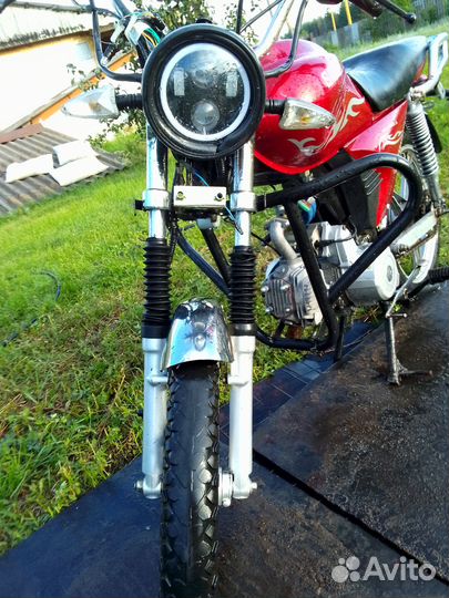 Альфа скаут