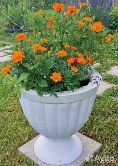 Вазоны для цветов