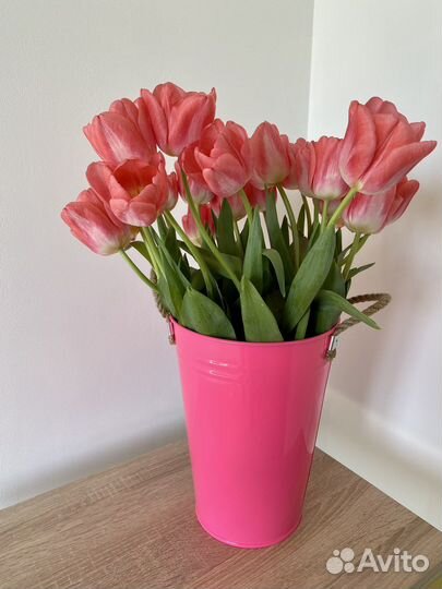 Цветные металлические вазоны-кашпо для цветов